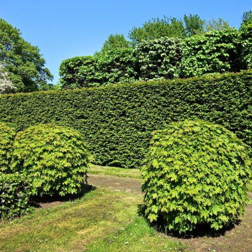 Entretien parcs et jardins